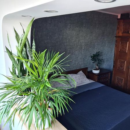 Apartment In Dristor Area Bukares Bagian luar foto