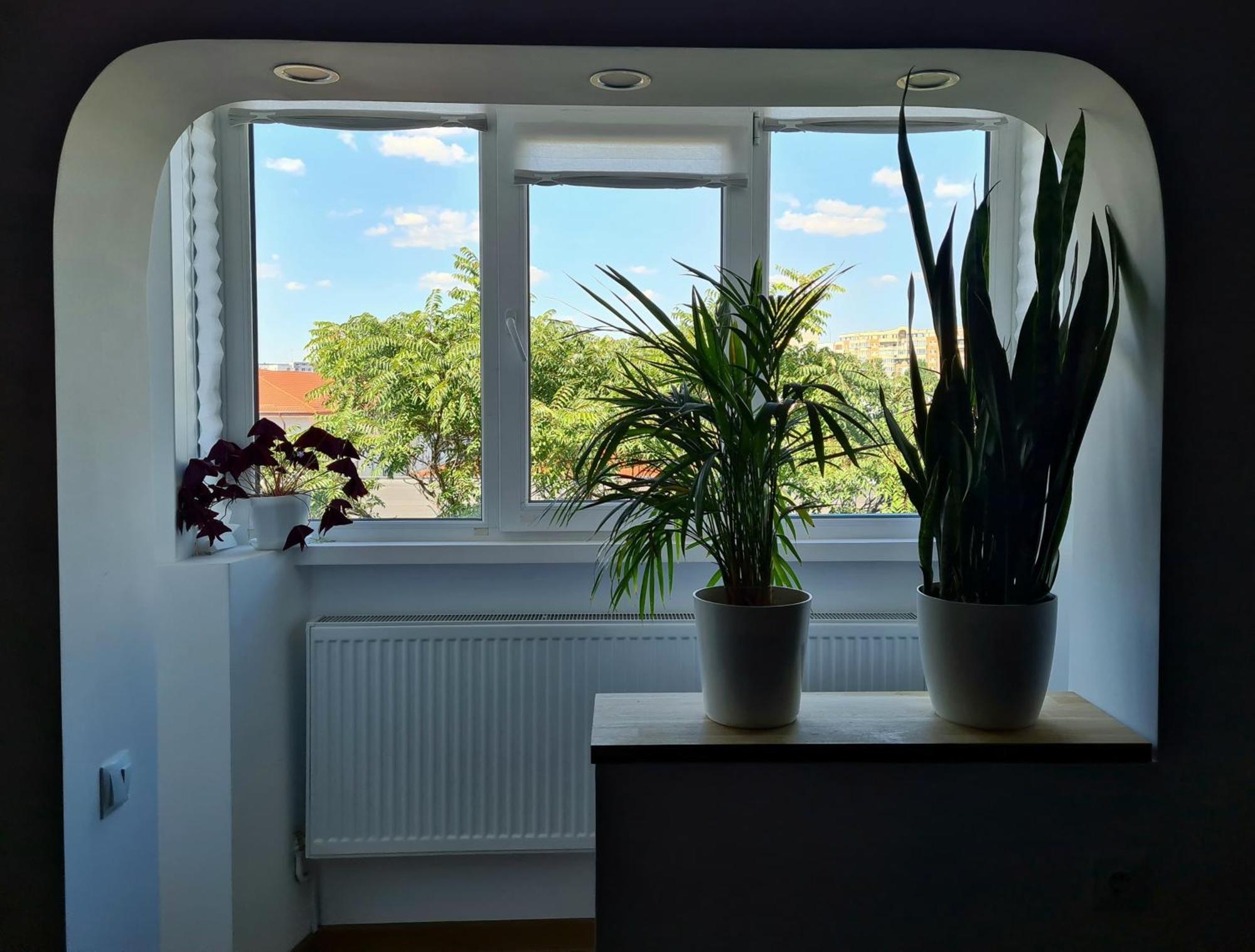 Apartment In Dristor Area Bukares Bagian luar foto