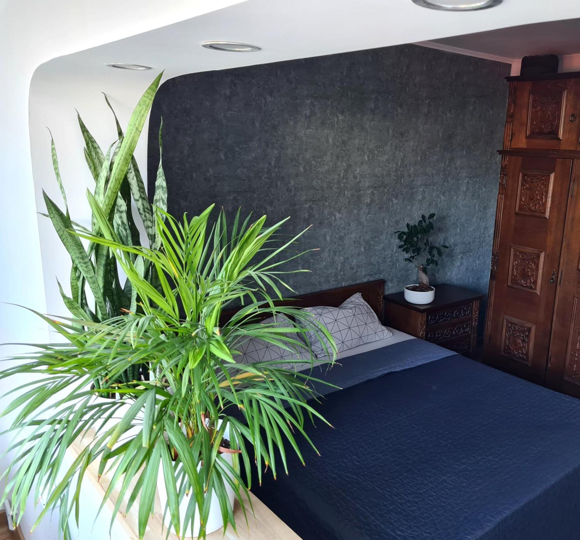 Apartment In Dristor Area Bukares Bagian luar foto